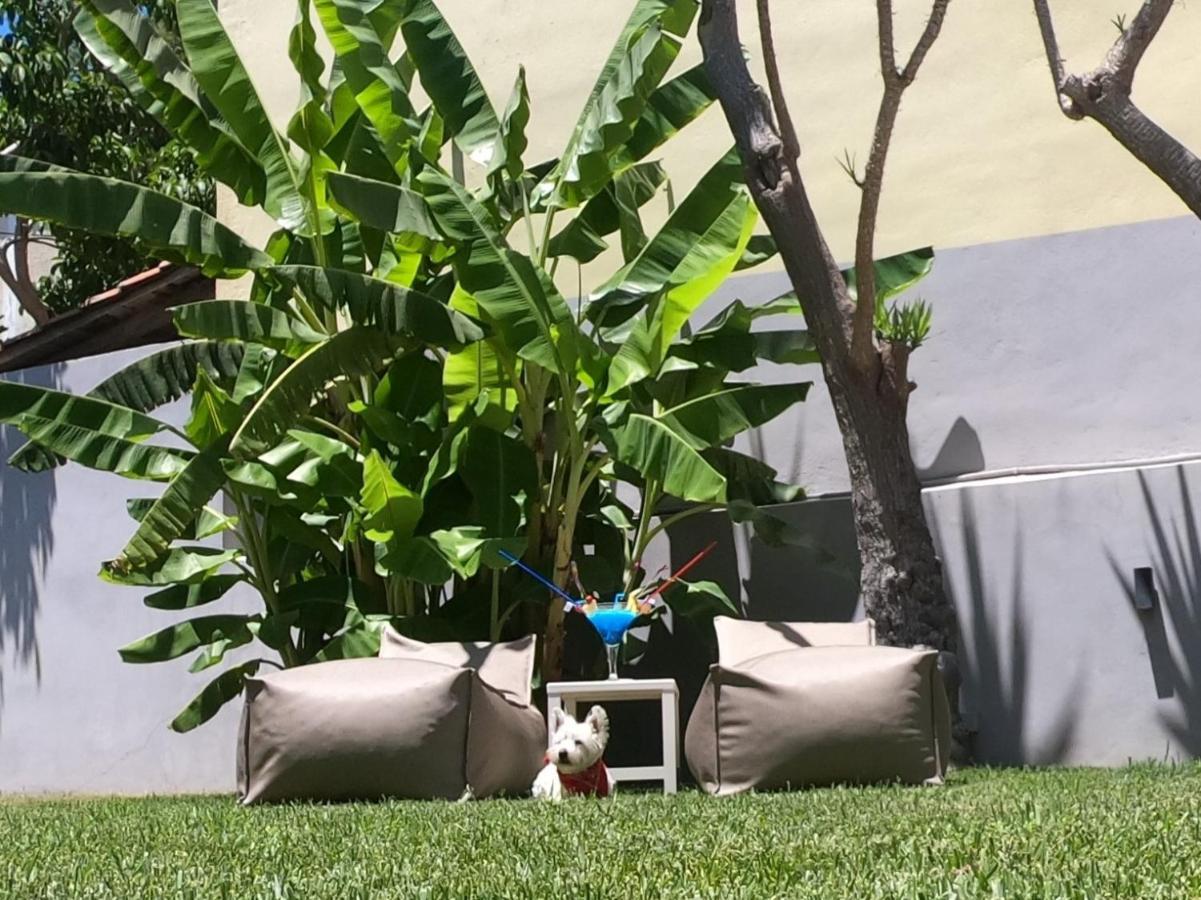 Paradise Hotel & Bar Πλάνος Εξωτερικό φωτογραφία